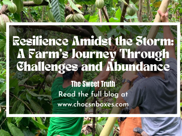 Resilience Amidst the Storm: A Farm’s Journey Through Challenges and Abundance